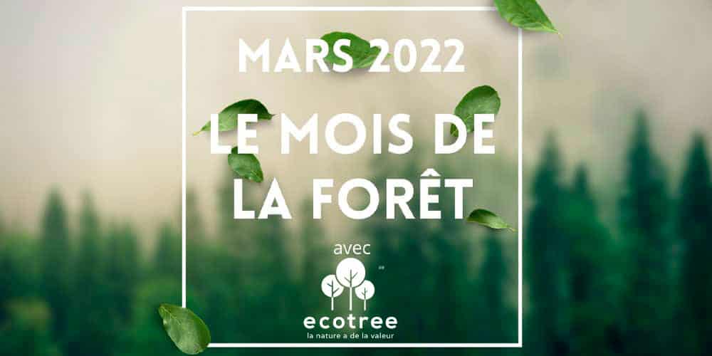 Deux forêts françaises abritent les arbres Substances Actives - EcoTree